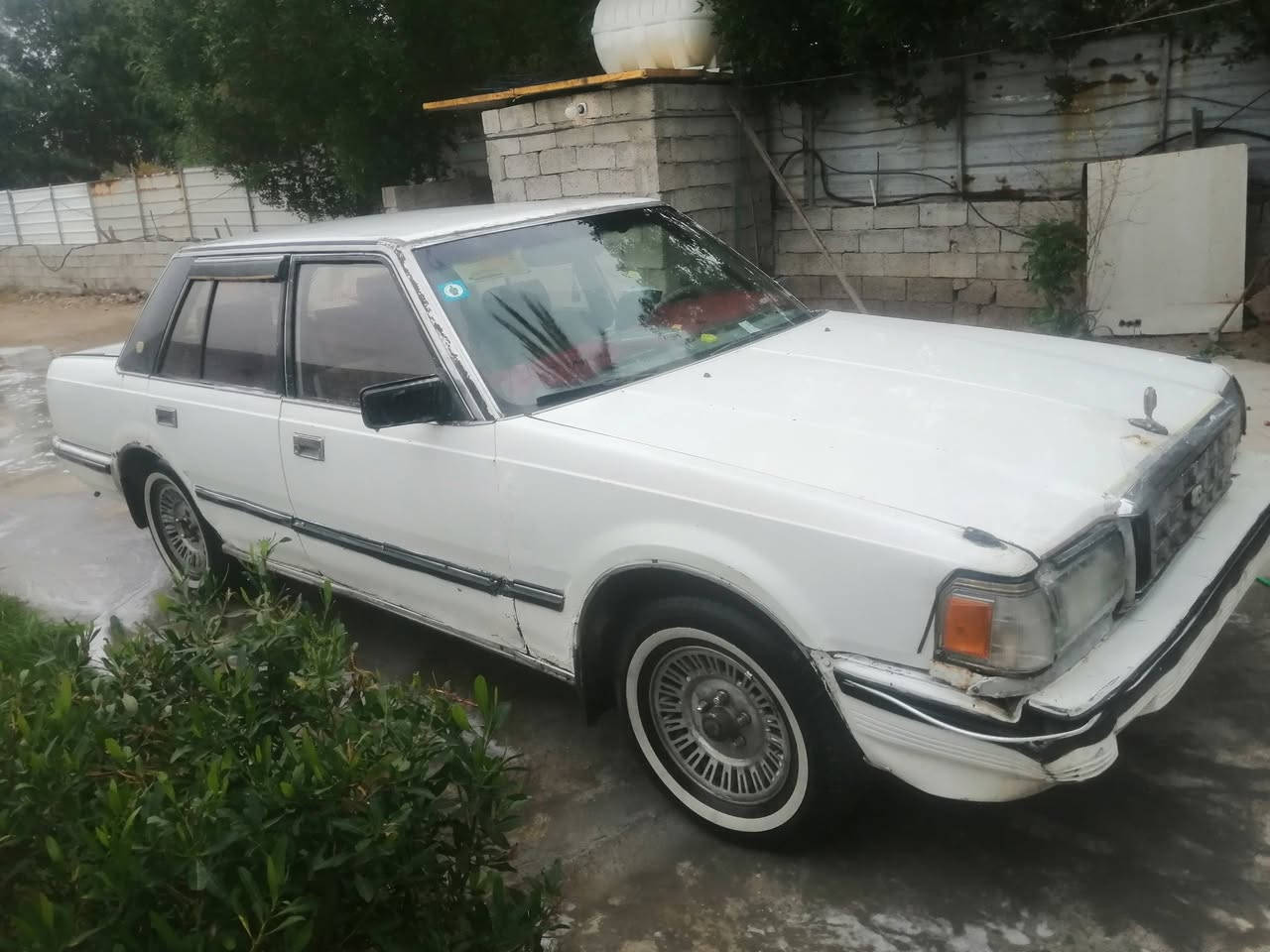 سوبر رقم دولي بسمي وكالة عامة باركوت
سعرها 30 بيها مجال 
***********
سكن بغداد جسر ديالى القديم
