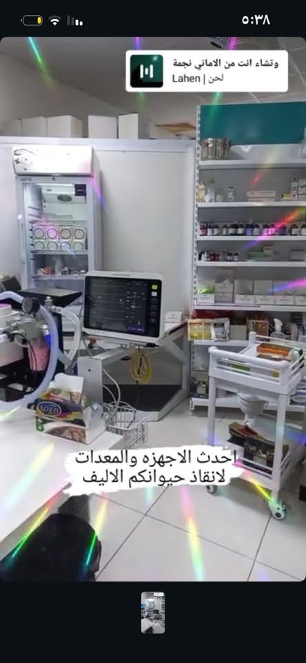 نوفر لأصدقائكم الصغار (القطط، الكلاب، وغيرها) رعاية طبية متكاملة تشمل: فحص طبي، تطعيمات، عمليات جراحية، وخدمات العناية والجمال.
لا تنتظر حتى يمرض أليفك، الفحص الدوري يحميه! 

مع توفر احدث الاجهزة والمنتجات التي تدعم صحة حيوانك الاليف في مجموعة مشفى الاندلس البيطري 

📞 اتصل بنا الان :***********
📍 موقعنا: السيدية شارع قطر الندى 
📸 زوروا حسابنا على إنستغرام

https://www.instagram.com/andalus.vet?igsh=NTg4djZtZ2t3cTky
