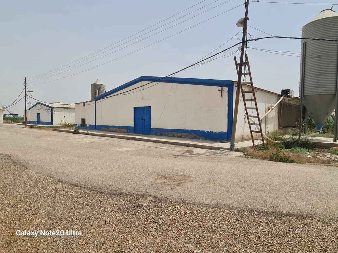 حقول لبيع مع مزارع المساحة المشروع ١٠٠ دونم  بغداد المدائن مطلة على نهر دجلة  نوع العقار
ملك صرف  اسم شخص واحد تحتوي على بيت ومضخات ماء المشروع بساتين 
٢.البستان دونم يحتوي على ١٠٠٠نخله  انواع النخيل 
٣.مشروع الدواجن  يتكون من القسم الأول معمل علف اوتماتيك بطاقة ١٠طن بساعه 
١٥قاعه انتاج بسعه إجماليه ٤٥٠٠٠٠دجاجه بطاقه إنتاجيه ١٠٠٠كارتون 
أبنية الاداره والمشرفين العمال عدد٦
محطة اسأله ومنظومة ماء RO ٢٥م 
القسم الثاني 
٥قاعات تربية أفراخ الدجاج البياض  
بسعه إجماليه ٢٠٠٠٠ فرخ 
أبنية الاداره والحرس عدد ٢ .
ملاحظه انتاج الحالي ٢٥٠ كارتون نوعدجاج لوهمان احمر . 
٣. القسم الأخير ٤٥دونم يحتوي على ٢قاعه قيد الإنشاء مساحة الواحده ١٨٠٠م حاليا جاهزات وشغلات.
السعر دونم ١٠٥ مليون قابل للتفاوض رقم وتساب ***********
