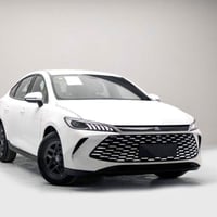 قين بلس • ٢٠٢٥ • السليمانية