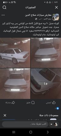 كورله • ١٩٩٠ • الضلوعية