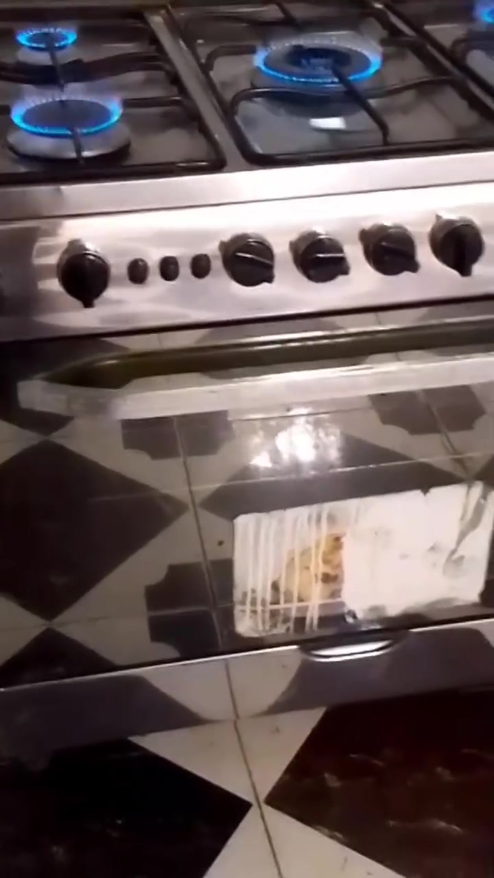 طباخات  باله كويتي شرط الفحص والنضافه فول عنوان البصره الزبير متوفر توصيل جميع المحافضات  بلاد اللاستفسار  واتساب ***********
