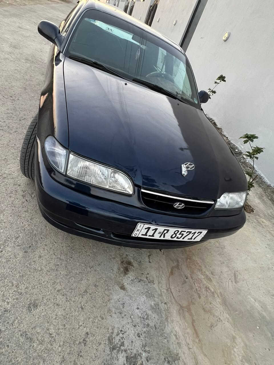 السلام عليكم
سوناتا  2   موديل 1994 
رقم بغداد بسمي سنويه وهزة جدد
مكينه 1800 كير عادي
مكينه وكير كفاله 
تخم تاير  صارله اسبوع حداديه كامله 
كهربائيات كلها تشتغل
ادامه كامله تخم بلك ونوزل وفيتبم 
داخل جديد جدا  
جاهزة من جميع النواحي وبدون اي نقص
ب استثناء الكمبريسر وكف عندي
 (جبتلها واحد بس ينشد) سابقا تبريد فول
السياره مال جناي ومتعوب عليها وشوف العين 
كفاله عامه من اي ضربه او خياس او تعمير بكل السياره 
صبغ بسبب الجراد 
شواصي جدد كفاله 
السعر 46 بيع او مراوس حسب القناعة 
مكاني ديالى _بعقوبة
***********
