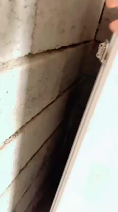 مفقس للبيع
مراسله وتساب 
او اتصال 
***********
