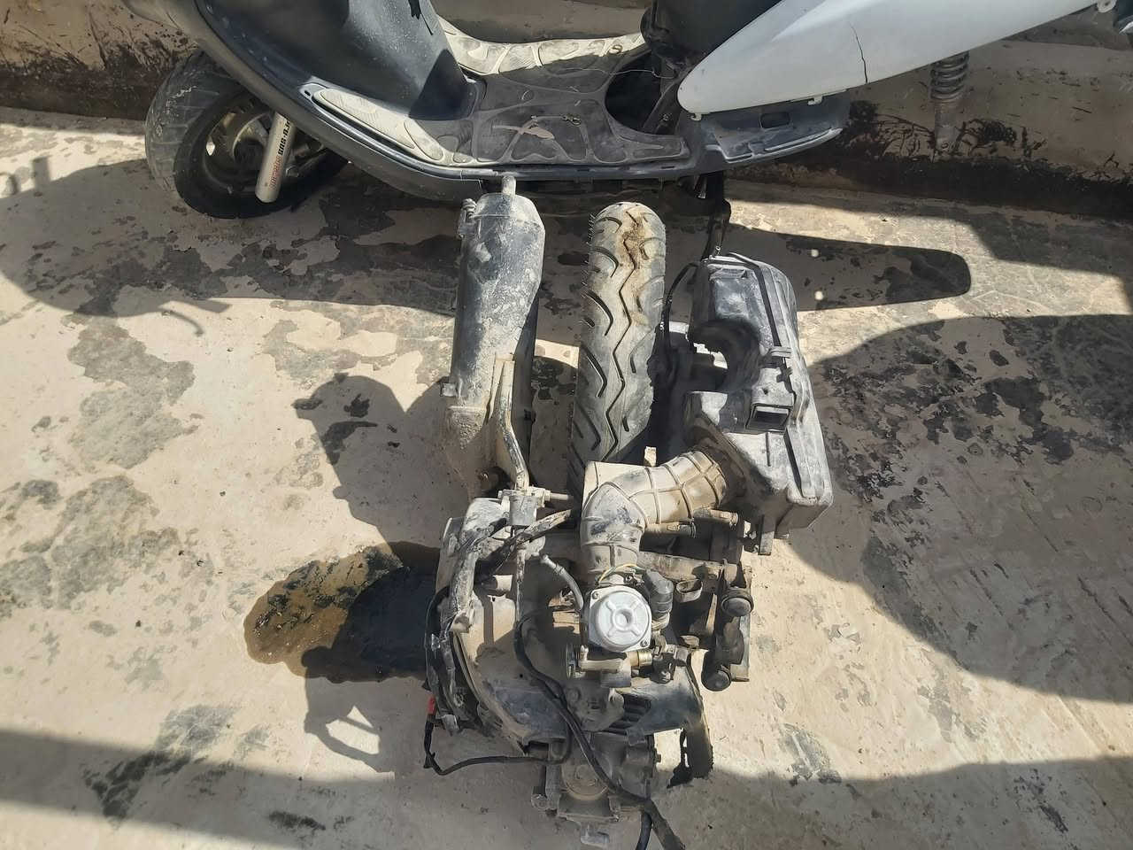 دراجة بيع تفصيخ  سيام مكاني نجف ***********
