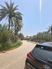 أرض للبيع • أرض البوعلوان • أرض زراعية • أرض بدونم • أرض واجهة 25 متر ...