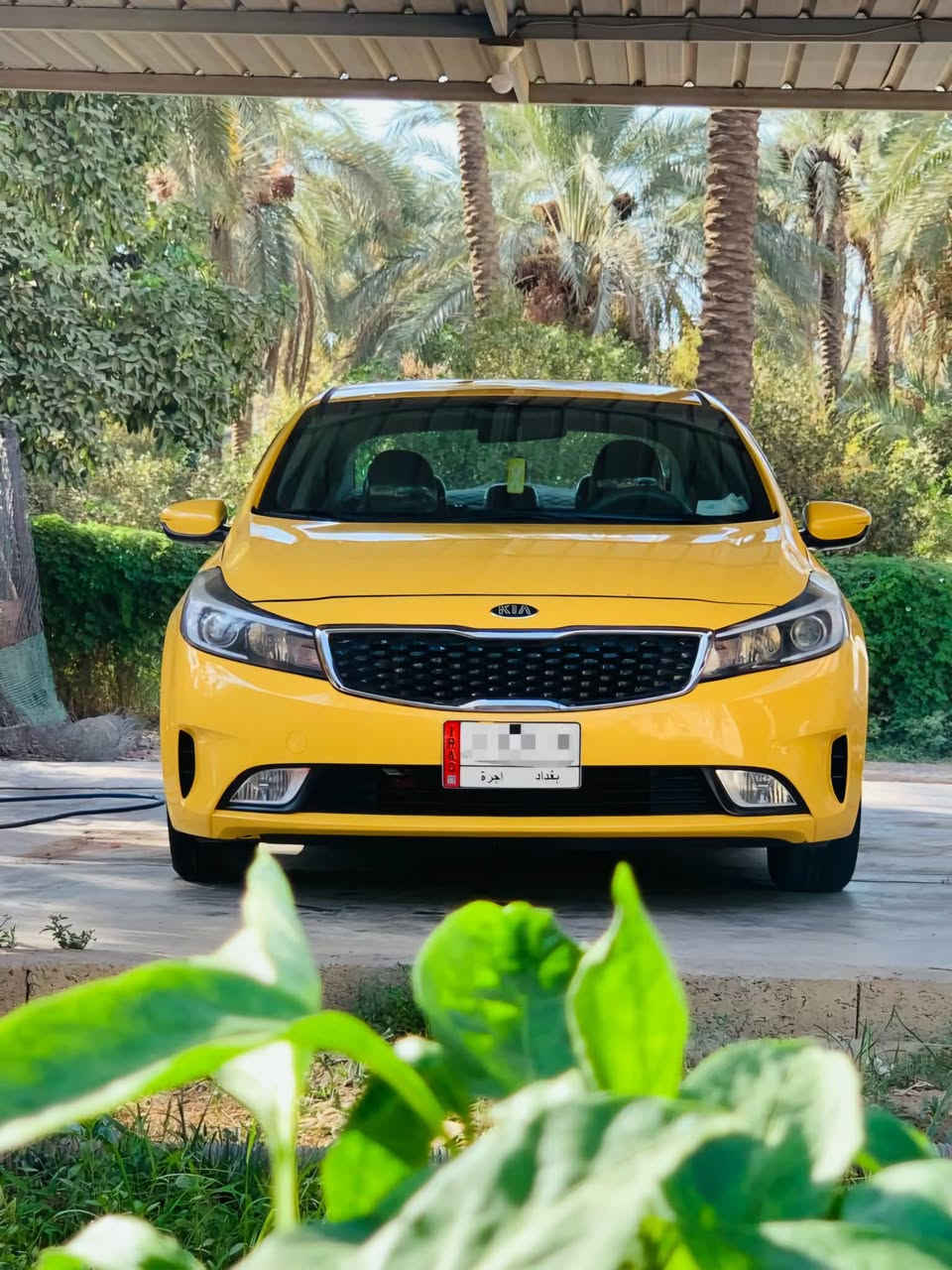 سعر مناسب اكتب بل تعليق يصلك مباشر فورتي 2018 وارد امريكي ضرر جامرلغ امامي شطح بدون دواخل ومبدل هناك بنيد وجامرلغ بلادي بامريكا
- السيارة بأسمي تاريخ نفاذ السنوية لـ 2028 مصفرة هيئة وغرامات 
 - السيارة بدون ايرباك
- السيارة استخدام شخصي ماشية 119 
- مكينة 2000 دوش بلادية والكير AT المرغوب   
- مدوشمة كشنات وارضية كاملة مع لايت عالي زنون
- تخم تاير + باتري جديد
- حدادية صدر جديد مع مشط ستيرن ودرايم شفت ودبلات امامي خلفي كلة جديد يم علاء الحداد 
- ادامة كاملة فيت يم و بلكات ونوزلات ومجاول وحساسات وجويتر كامل جاهزة مابيها اي نقص كبل للشارع  مكان السيارة بغداد الراشدية السعر : اطلب في التعليق ❤️‍🩹 لعرض سيارتك ***********
