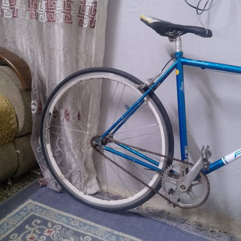 فكسد،،🇯🇵 ياباني،،  خفيف وزنه 8 كيلو خفيف ريشة،، معدن حديد مخفف،،  حجم// 28// ارتفاع الفريم 52، 
ويالة المنيوم ركبة وستيرن فافون،، 
 بس متروك يرادلة شوي ادامة تنضيف،، سريع كلش،، 
سعر// 50 // وبي مجال،، الشراي يجي خاص وتساهلة بي،، مكاني بغداد  فلكة حي النصر،،


**إذا كنت صاحب هذا الإعلان وتريد حذفه لأي سبب، رجاءا أرسل رسالة إلى الدعم الفني**