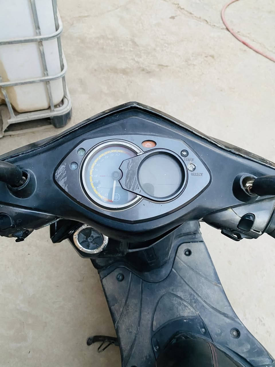 سكنس فحل البيع نضيفه بيه بل ميه لا مفتوحه ولا مجفته أو كل عله وكلت الشركه مكاني بغداد جسر ديالى الستفسار ***********
