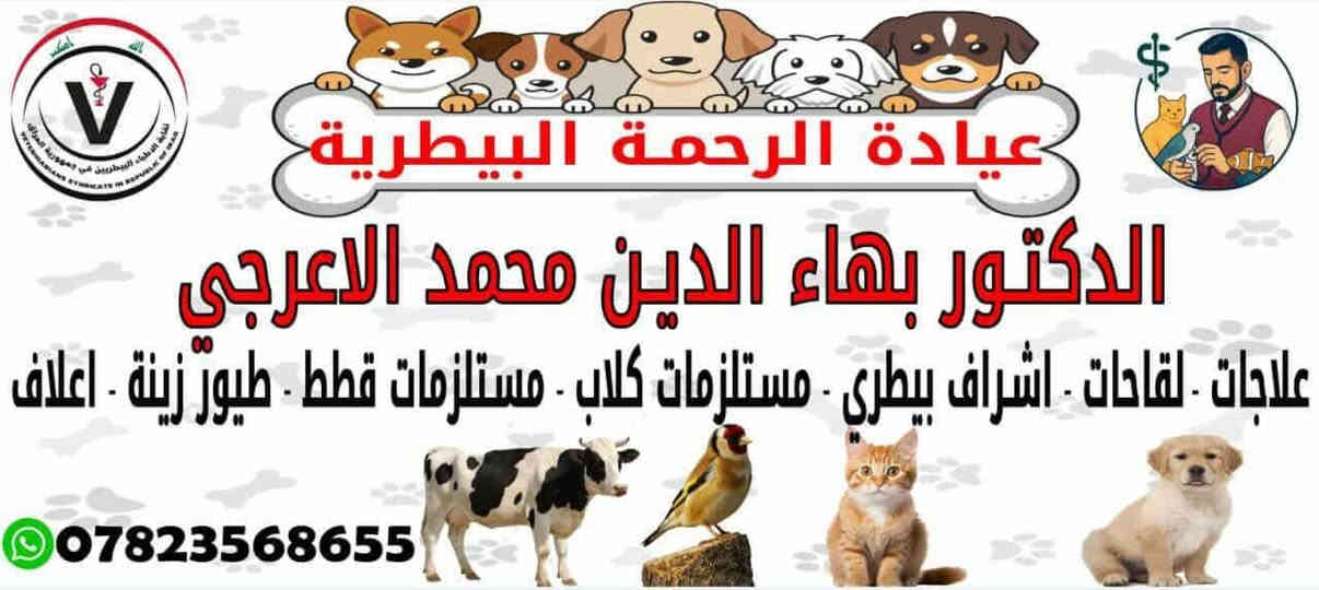 عيادة الرحمه البيطريه
توفر لكم كافة العلاجات البيطريه
المختصة بالحمام والدجاج وطيور الزينه
كذلك نوفر مستلزمات واعلاف الحمام وطيور الزينه
العنوان بابل قضاء الهاشميه حي العسكري مقابل عالم السيراميك
للاستفسار الاتصال على ***********
يوجد توصيل داخل وخارج الهاشميه
@إشارة
