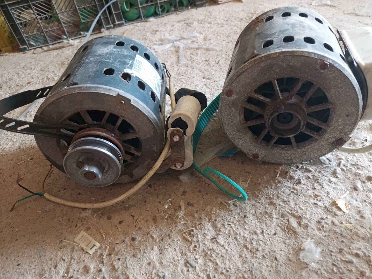 للبيع موطورات مبرده 2 ونص سرعتين نصيفات سعر الواحد 35 وبيهن مجال باسكل اطفال بجيس مامستخدم سعر 55 وبيه مجال ميوزه سعر الواحد 20 وثاني 15 تواصل خاص


**إذا كنت صاحب هذا الإعلان وتريد حذفه لأي سبب، رجاءا أرسل رسالة إلى الدعم الفني**