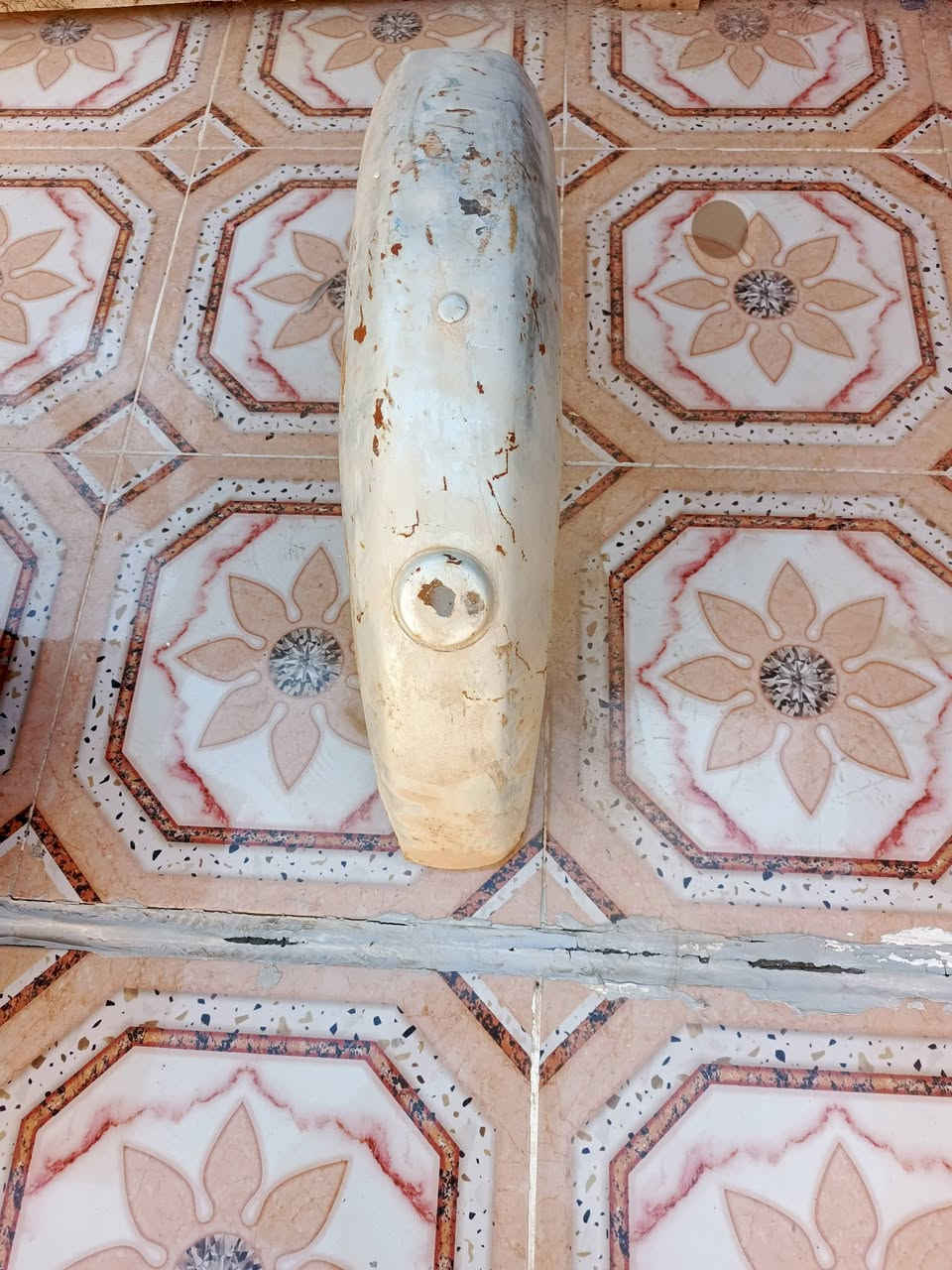 السلام عليكم جامروغ خالفي 81 للبيع سعره 50الف مكان صلاح الدين قضاء بلد ستفسار تصل على ارقم ***********
