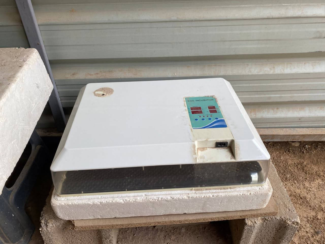 السلام عليكم مكلف بل نشر فقاسه عدد 60 بيضه قلاب اوتو ماتيك سعره 75 الف وبيه مجال بسيط والقفص سعره 40 الف وبي مجال بسيط  *********** اي استفسار اكثر اتصل علا صاحبهن وميكون خاطرك اله طيب
