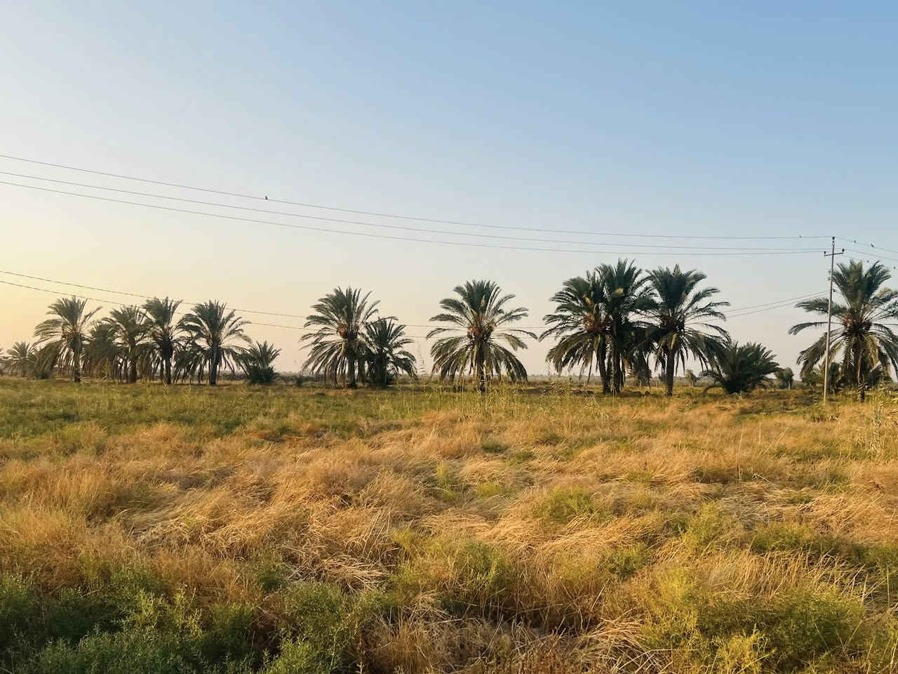 سلام عليكم ارض طابو للبيع المساحه 30 دونم سند مستقل بأسم شخص واحد الارض مكانه حلوه تصلح مجمع سكني او شاليات العنوان طريق كربله نجف طريق مفرك الكفل عمود 350 
استفسار.   ‭0783 885 1910‬
