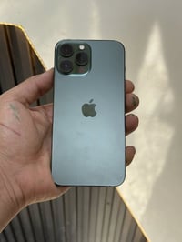 ١٣ بروماكس • ٢٥٦ • زيتوني