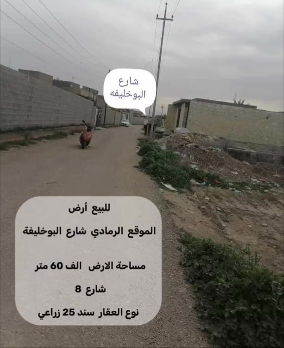 ارض للبيع
للاستفسار الاتصال على الرقم ***********
