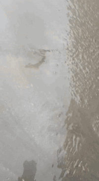 خدمات • بدون تفاصيل