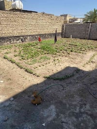 قرب العلويه شريفه • ٢٠٠م • طابو زراعي
