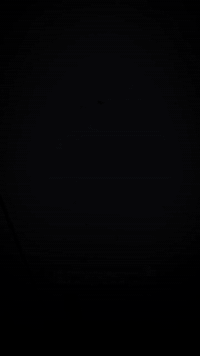 شباب سوده • حجل 2024 • البصره