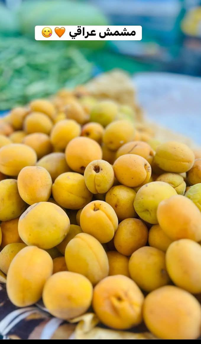حاصل جديد زبائن الزهراء  🫶
حاصل عراقي 
وصلتنا  فوكة الخضروات نبروان كلة فرش توصيل محافضات اكو 
🥰
زورونة هلة بيكم 

توصيل موجود المنجره مقابيل بريد القديم 

#فواكه الزهراء
وتساب ***********فقط واتس اب فقط 
ا
