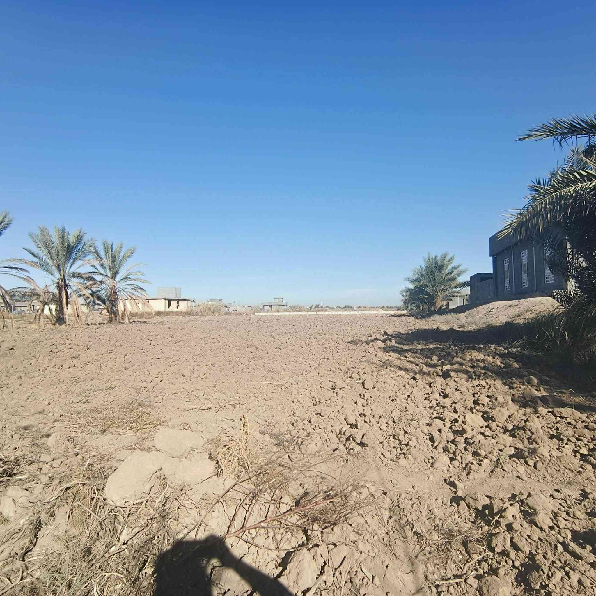 السلام عليكم
ارض للبيع في الفلوجة النساف البوعيسى البوصالح قرب مدرسة المحجة البيضاء  مساحة 2 دونم نوع الارض عقود زراعيه عقد 17 تتوفر بيها كافة الخدمات (كهرباء ماء ) ارض سكنيه شارع 8 متر + ترهم زراعيه يوجد فيها اروائي للري
سعر الدونم 28 
للاستفسار اكثر الاتصال على الارقام التاليه
واتساب+اتصال  ***********
