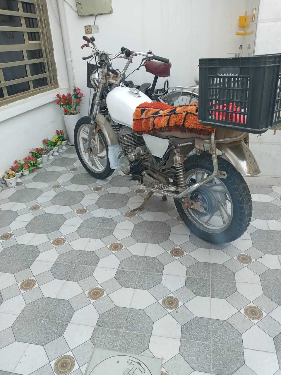 سلام وعليكم دراجه البيع جني
السعر 125
***********
