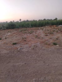 حي الازدهار • ١٢٠م • قرب المحلات