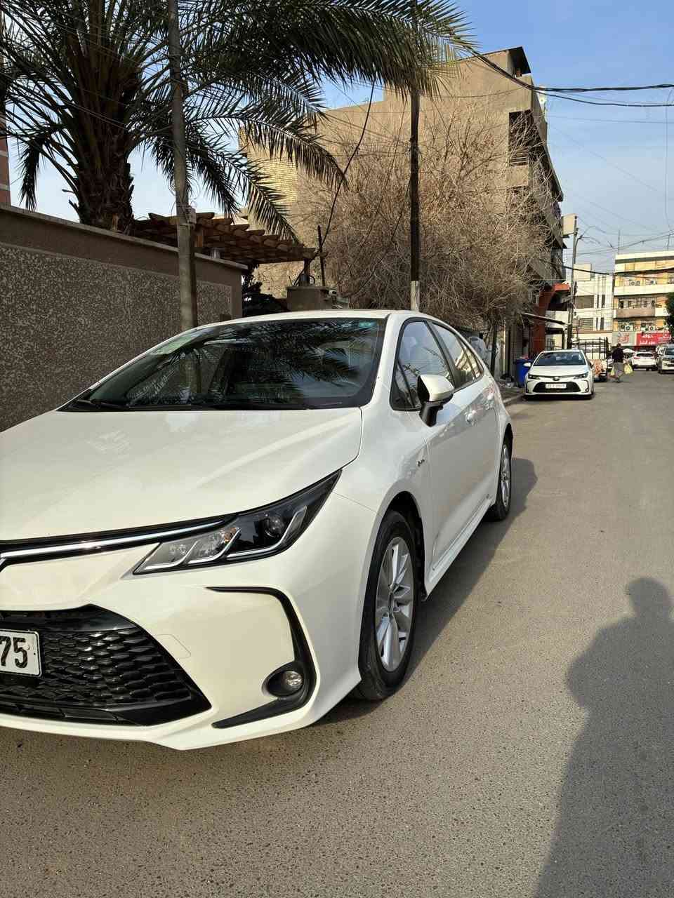 كورلا هايبرد رقم بغداد موديل 2025
شكل الخليجي فتحة جلد حساسات
سيارة مكفولة ماشية 7000 الاف زيرو 
السعر160 وبيها مجال للستفسار
***********
