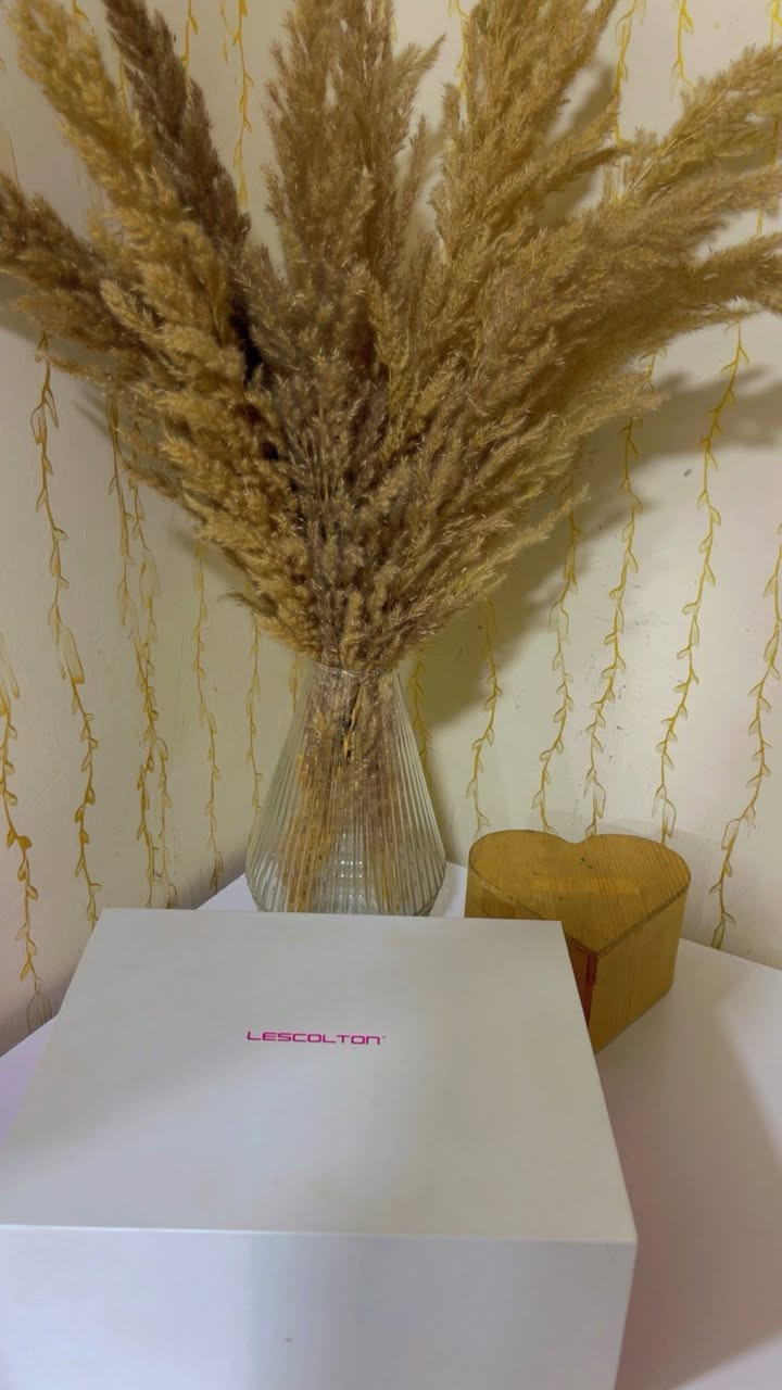 باشترین لیزەری مارکەی LESCOL TON بەریتانی

زۆۆر کەم ئیشی کردوە 

تیشکی ساردو بێئازارە 
تایبەتە بە پێستی هەستیار 
عەینەکی تایبەت بە خۆی لەگەڵە 
پێنج دەرەجەیە کە خۆت دەتوانیت دەمەکەی بکەی بە سارد یان گەرم 
رەبتی شەریکەی خۆی لەگەڵە 

نرخی ١٨٠ هەزارو کەمێک معامەلە


**إذا كنت صاحب هذا الإعلان وتريد حذفه لأي سبب، رجاءا أرسل رسالة إلى الدعم الفني**