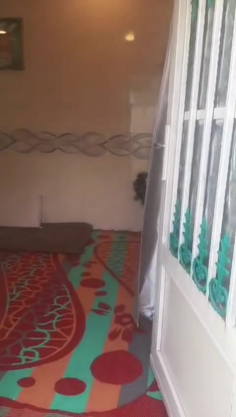 بيع مستعجل ‼️‼️
بيت للبيع 65م زراعي يرهم قصد ...السعر 15 وبي مجال يحتوي على غرفة وصالة واستقبال ومطبخ حار وصحيات خارجية بيت نظيف كلش وعالي عن الشارع
الكوفة شارع المعمل قرب صورة الوائلي  
مقابل فرع سيد محمد ابو صريمة من جهة مجمع المختار يرهم قصد مقدمة 10 واقصاد بالشهر 300
***********
مرقم من البلدية ومشمول بالتطويب
