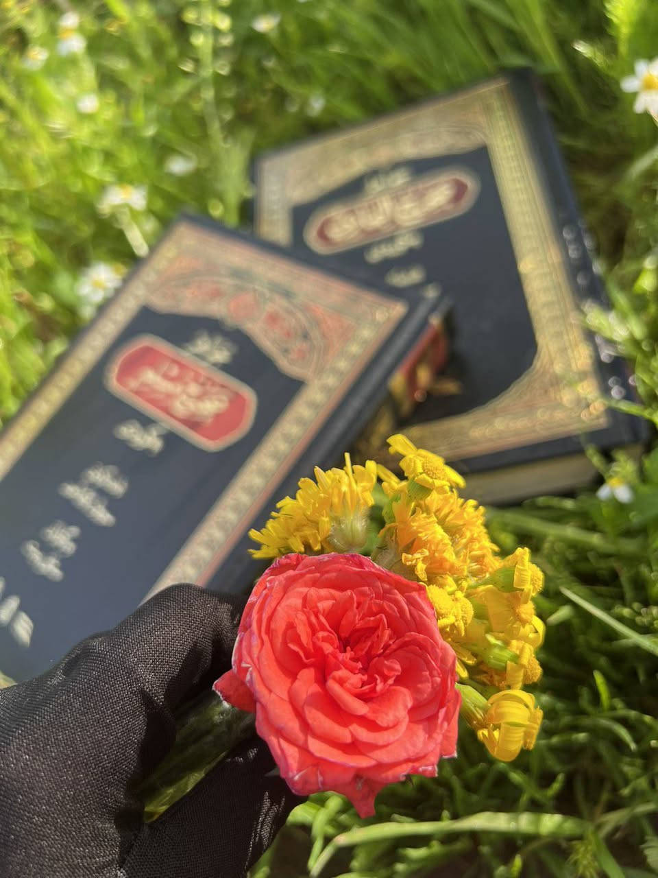هەردوو کتێبی صحیح بوخاری و صحیح مسلم بەکوردی بەردەستە


**إذا كنت صاحب هذا الإعلان وتريد حذفه لأي سبب، رجاءا أرسل رسالة إلى الدعم الفني**