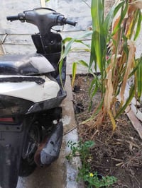 ماكس للبيع 120المكان الشعب السعر 350 $07724601246