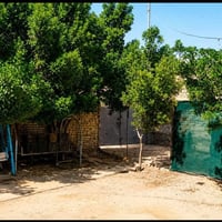 سيد الدفاس • ٤٦٠م • بيت