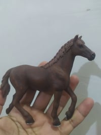 شلايش • بابو • عدد ٨