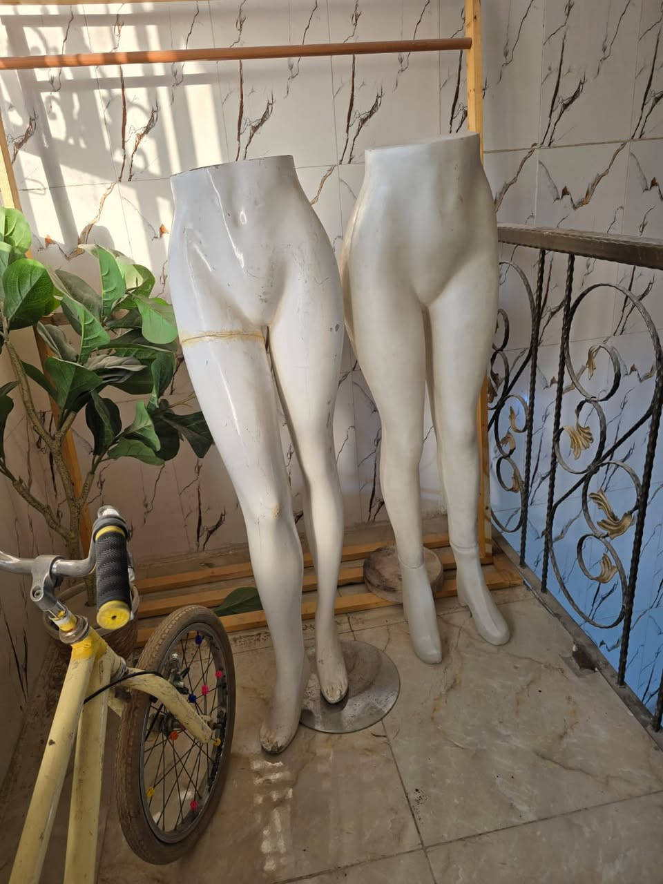 السلام عليكم اخر ماتبقى متضايقين وباقيات بالباب الي يفيدنه يجي ياخذهن  وينطي السعر الي يعجبه المكان بغداد جميله


**إذا كنت صاحب هذا الإعلان وتريد حذفه لأي سبب، رجاءا أرسل رسالة إلى الدعم الفني**