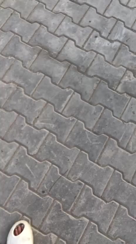 السلام عليكم بيت للبيع مساحه بين 170 180 حي الصدرين مثل ما واضح بالفيديو الاستفسارى على هذا الرقم ***********
