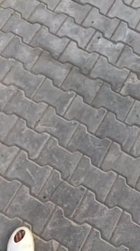 بيت • حي الصدرين • ١٧٠-١٨٠م