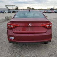 سوناتا • ٢٠١٥ • قطعتين صبغ