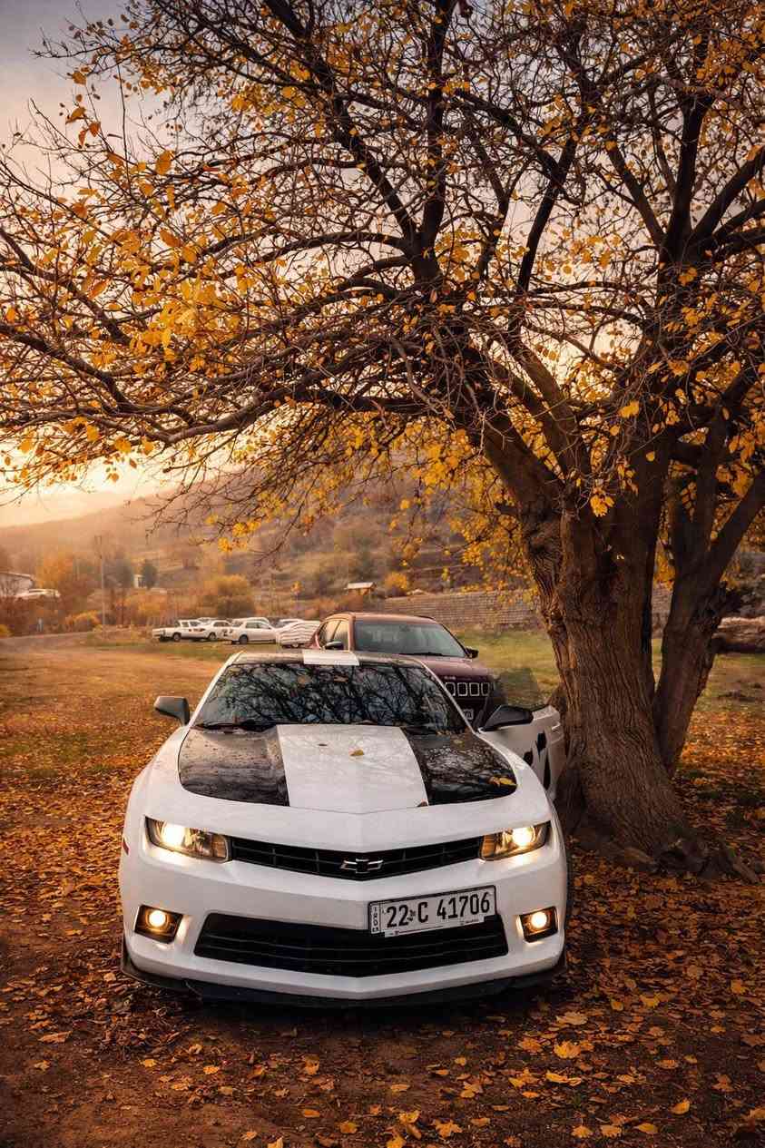 كامارو موديل ٢٠١٥  ٣ پارچه هه يه بي ‏إرباك ١٢٥٠٠٠ هه زار روشته سه ياره بي كيشه كير مه كينه به شه رته 
سه ياره Stock  نرخ ١٣٠ وه ره قه معاملة سوران, أربيل


**إذا كنت صاحب هذا الإعلان وتريد حذفه لأي سبب، رجاءا أرسل رسالة إلى الدعم الفني**