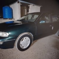 سيفيه • ١٩٩٥ • المحمودية