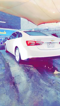 ماليبو • ٢٠٢٠ • رقم بغداد