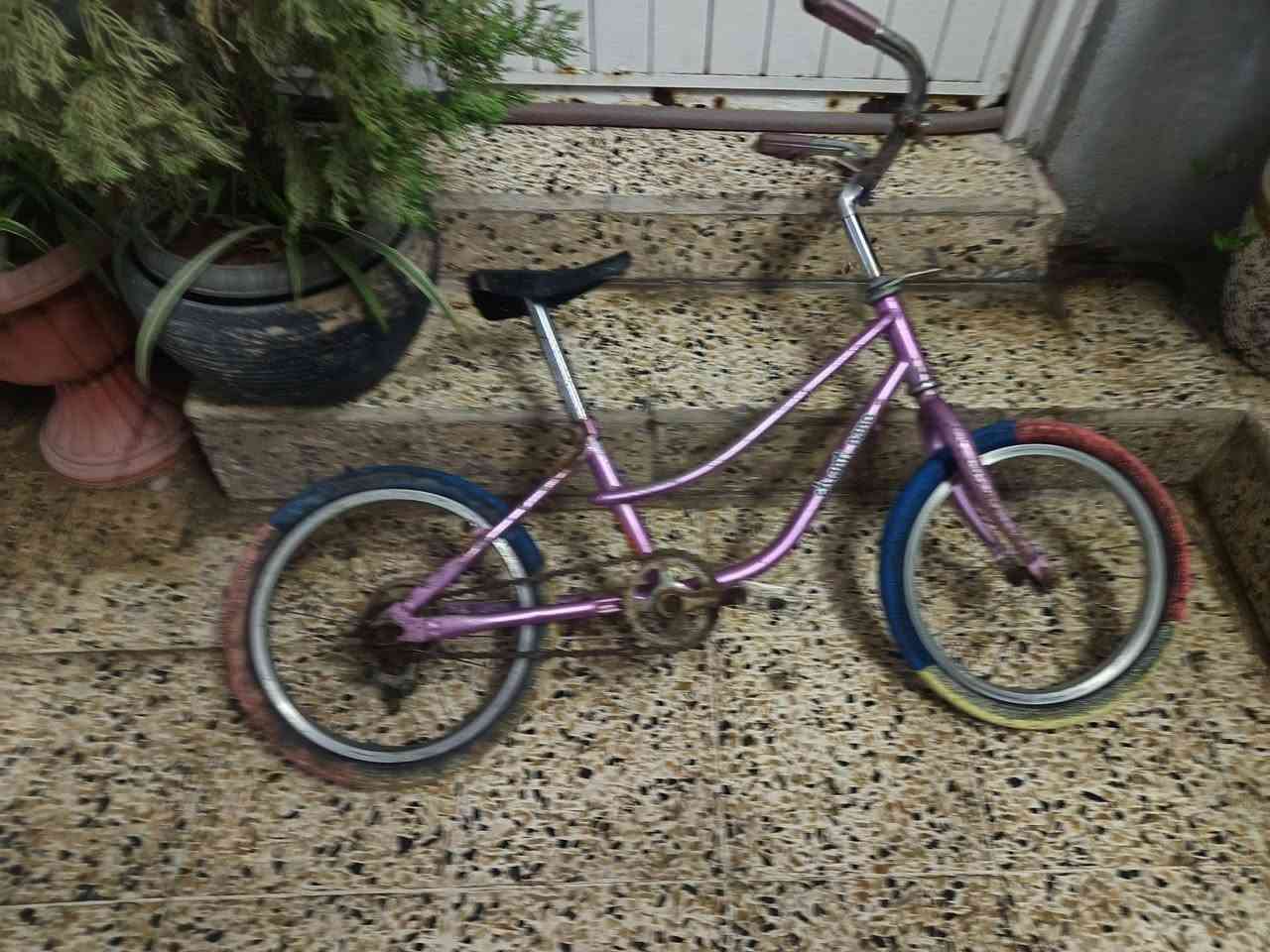 باسكل للبيع حجم 16وباقي التفاصيل خاص


**إذا كنت صاحب هذا الإعلان وتريد حذفه لأي سبب، رجاءا أرسل رسالة إلى الدعم الفني**