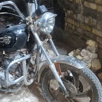 جونده • اوراق شغاله • شلعه قويه