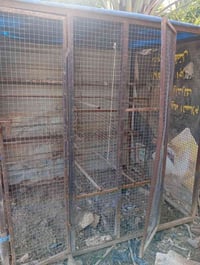 قفص • خانتين • حطاطة مخاليف