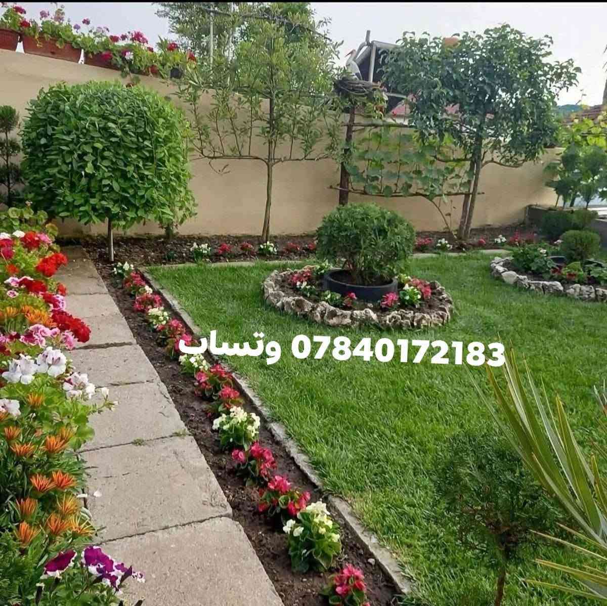 زرعة وتنضيف الحدائق الانبار الرمادي ***********_*********** وتساب
