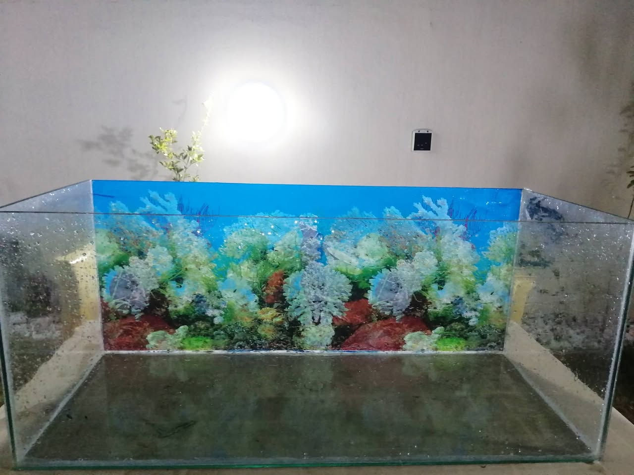 للبيع ادفع سعر معقول  ومبروك عليك معرف سعره
٦ ملم قياس 100*40*40


**إذا كنت صاحب هذا الإعلان وتريد حذفه لأي سبب، رجاءا أرسل رسالة إلى الدعم الفني**