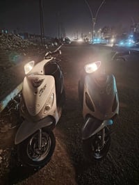 ماكسات منغولي • بوشه 50 • ناصريه مركز