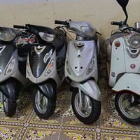 ماكس منغولي • قجمه فول • مصريه كلاسك