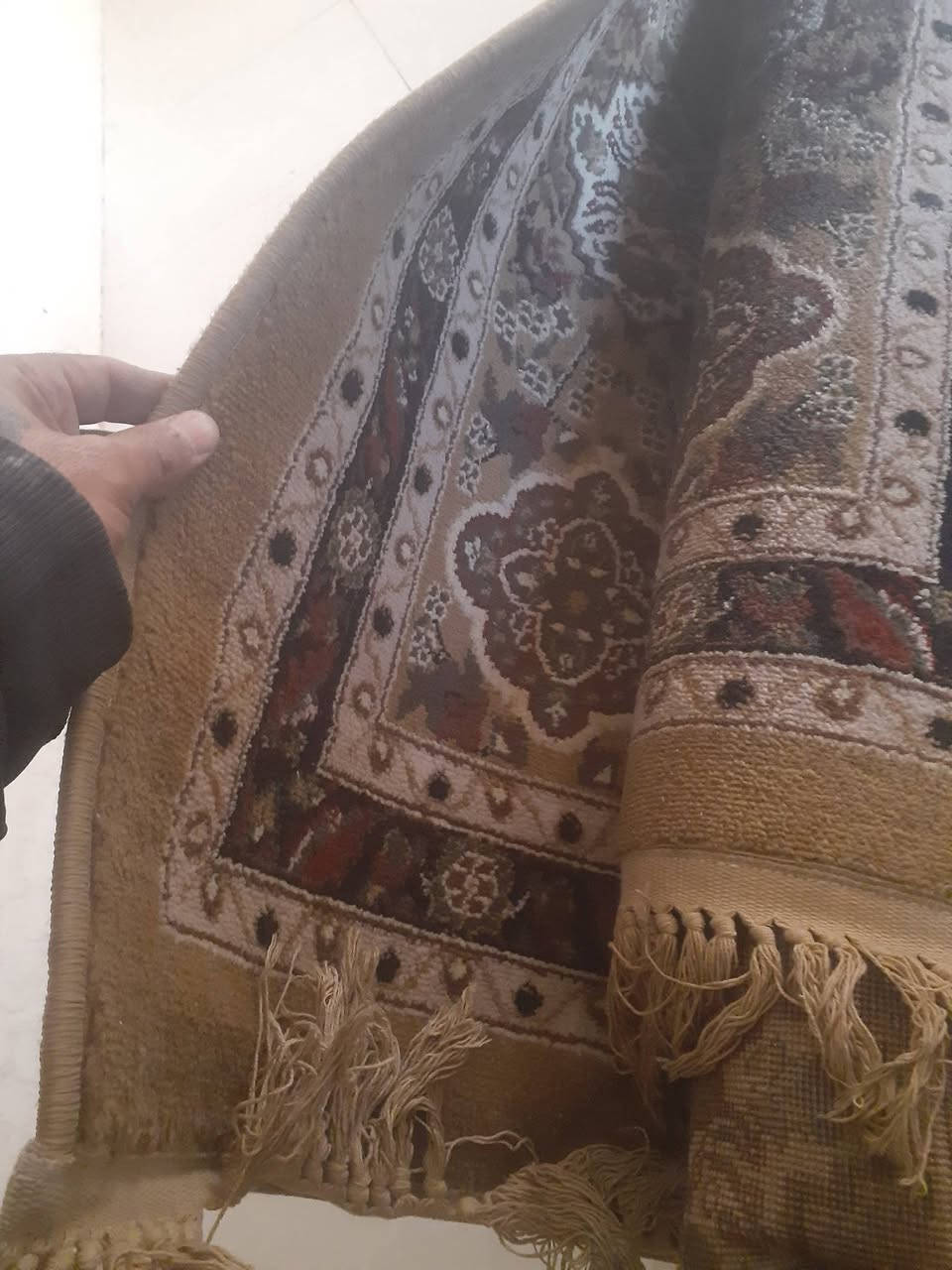 زوليه للبيع نوعيه درجه اولا قياس ٥ في ٤   نظافه ميه بالميه سعر ٥٠ عنوان ابو غريب  ***********
