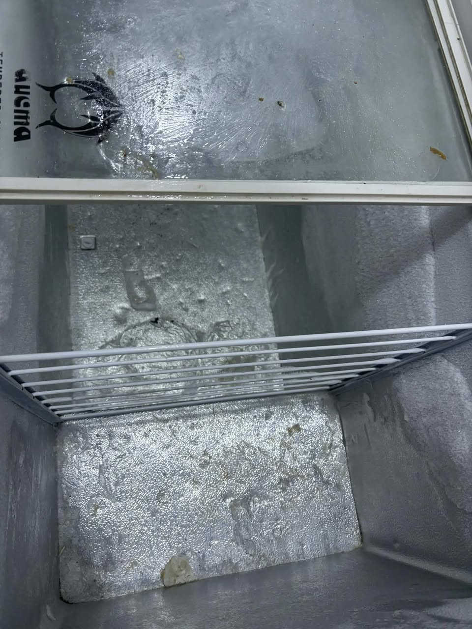 مجمدة للبيع نظافتها ١٠٠٪؜ ما داخلة تصليح ابداً وتجميدها ممتاز مابيها اي خلل السعر ع الخاص


**إذا كنت صاحب هذا الإعلان وتريد حذفه لأي سبب، رجاءا أرسل رسالة إلى الدعم الفني**